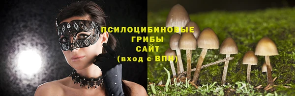 ECSTASY Алексеевка