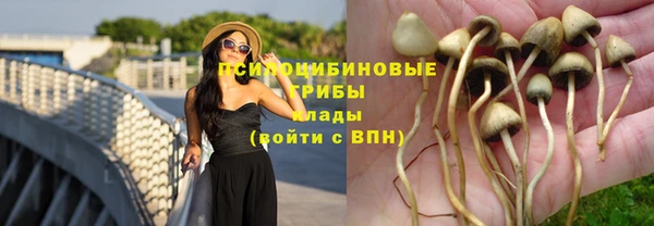 шишки Алексин