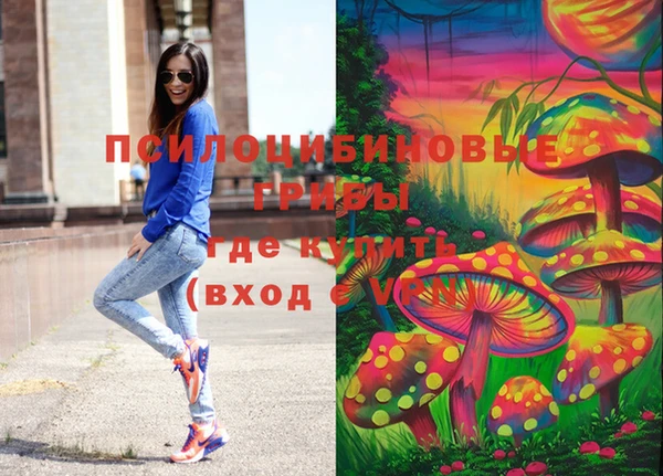 шишки Алексин