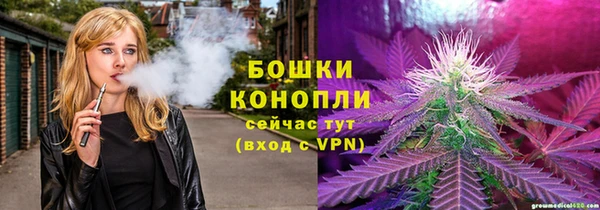 шишки Алексин
