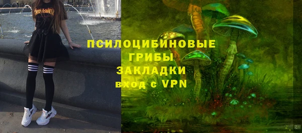 шишки Алексин