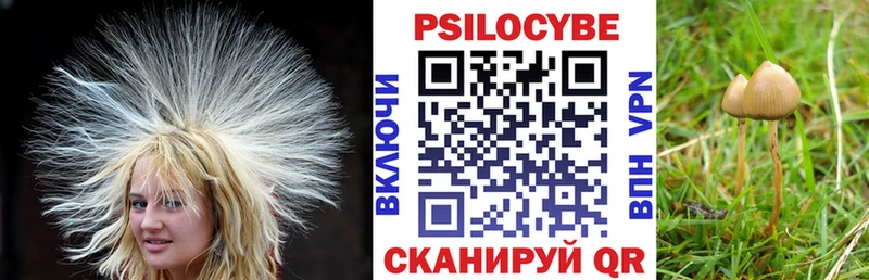 Псилоцибиновые грибы Psilocybe  OMG ссылка  Анива 